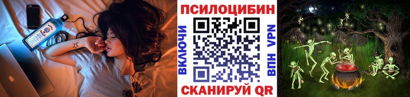 Псилоцибиновые грибы Magic Shrooms  Новая Ладога 